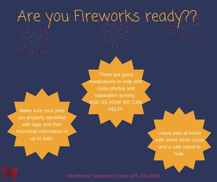 Windhorse Veterinary Clinic Picture 8