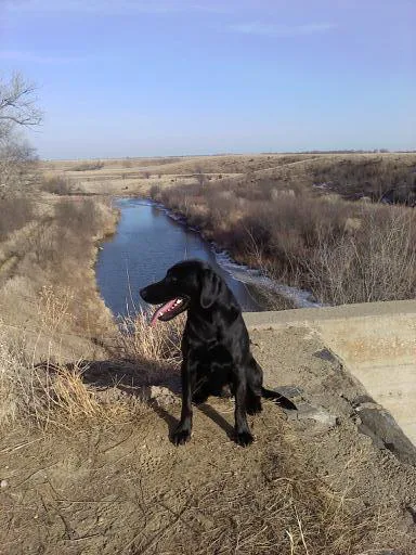 Creekside Veterinary Clinic Picture 2