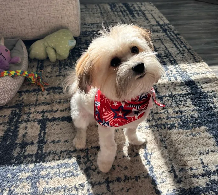 Creekside Veterinary Clinic Picture 5