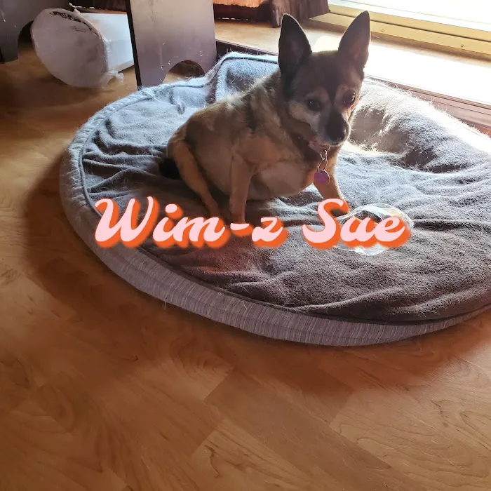 Creekside Veterinary Clinic Picture 4