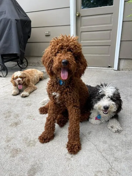 Creekside Veterinary Clinic Picture 3