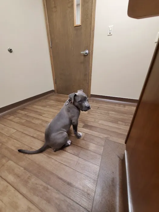 Creekside Veterinary Clinic Picture 8