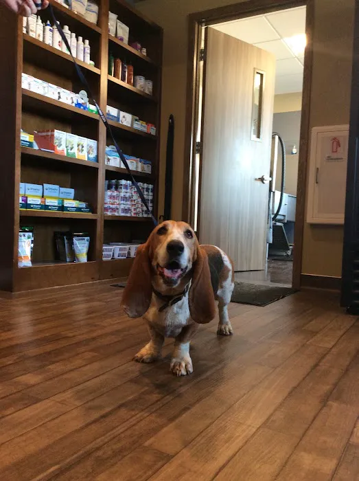 Creekside Veterinary Clinic Picture 9