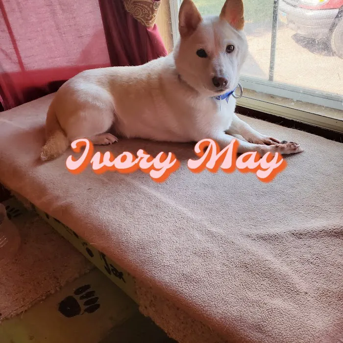 Creekside Veterinary Clinic Picture 6