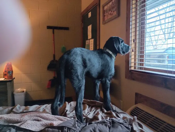 Lakeview Veterinary Clinic Picture 2