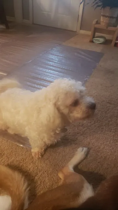 Lakeview Veterinary Clinic Picture 4