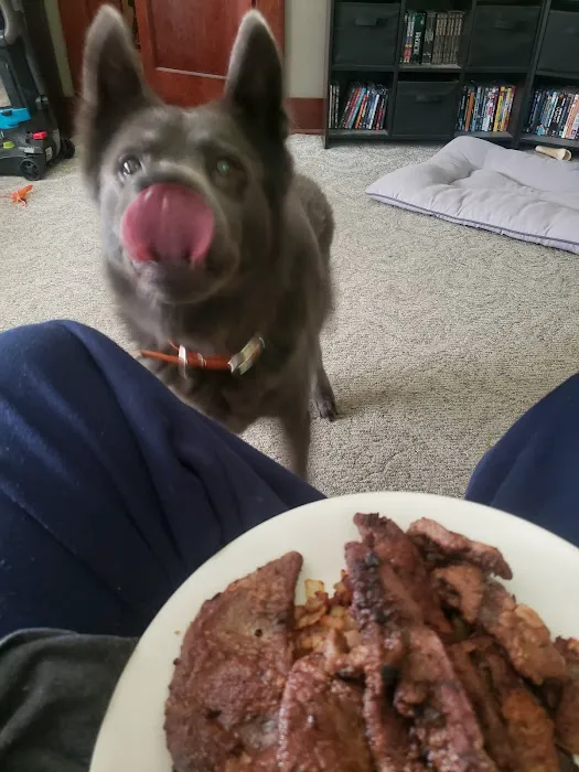 Animal Clinic of Mitchell Picture 1