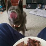 Animal Clinic of Mitchell