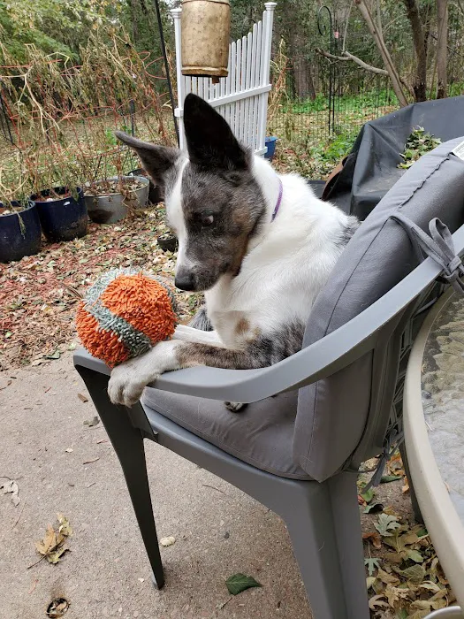 Neighborhood Veterinary Care Picture 4