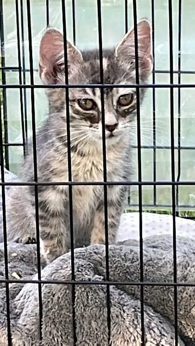 Big Sioux Veterinary Care Picture 1