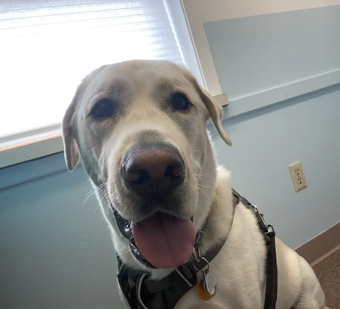 Big Sioux Veterinary Care Picture 5