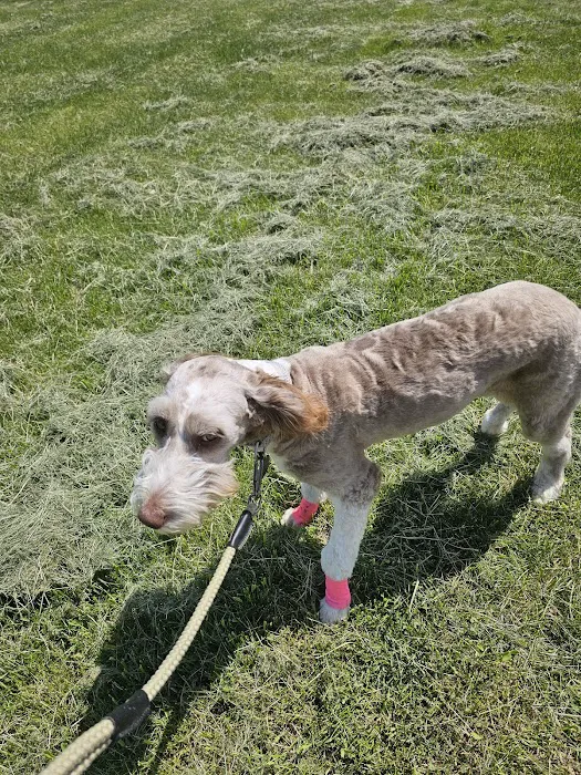 Sutton Veterinary Clinic, PC Picture 5