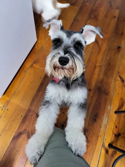 Sutton Veterinary Clinic, PC Picture 7