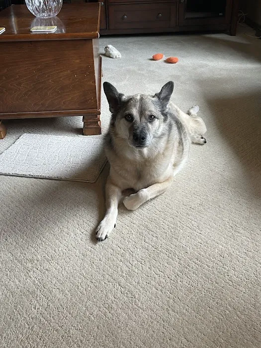 Heartland Veterinary Clinic Picture 1