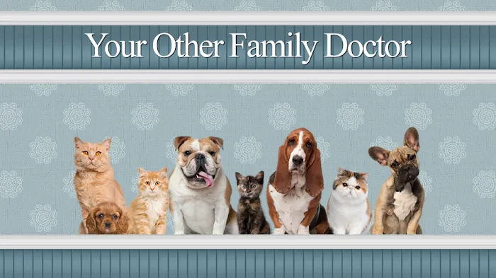 Heartland Veterinary Clinic Picture 8