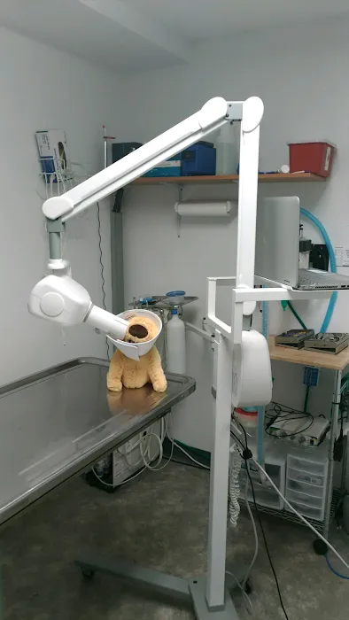 Heartland Veterinary Clinic Picture 10