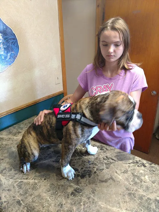 Volga Veterinary Clinic Picture 1