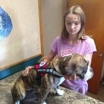 Volga Veterinary Clinic