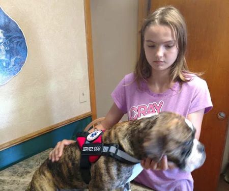 Volga Veterinary Clinic