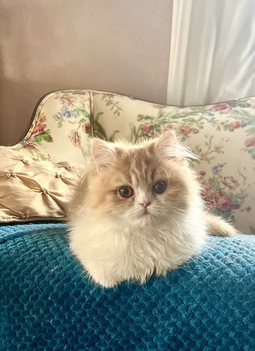 Adams Animal Care Picture 1