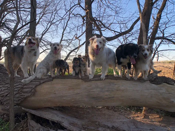 Adams Animal Care Picture 5