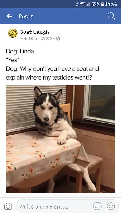 Adams Animal Care Picture 8