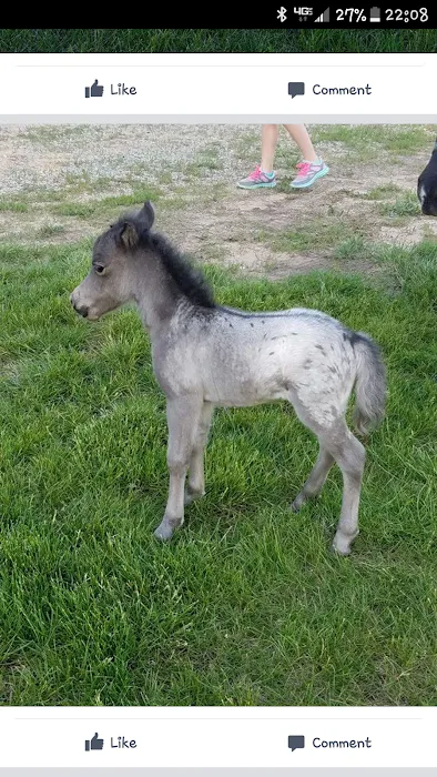 Adams Animal Care Picture 9