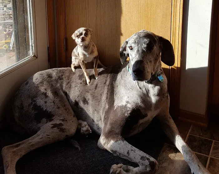 Adams Animal Care Picture 7