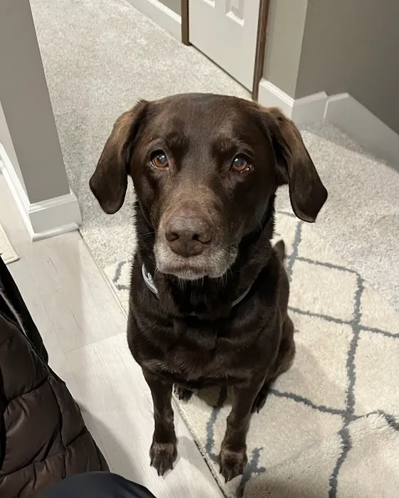 Ehlers Animal Care Picture 3