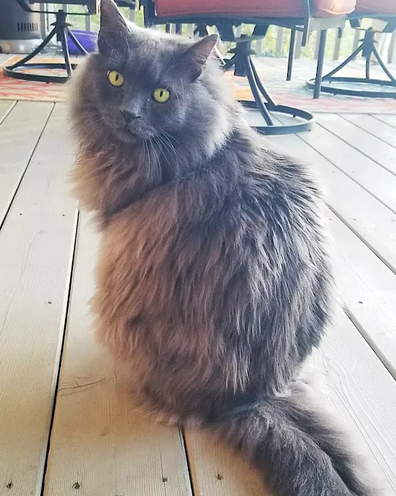 Ehlers Animal Care Picture 1