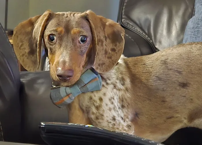 Ehlers Animal Care Picture 4