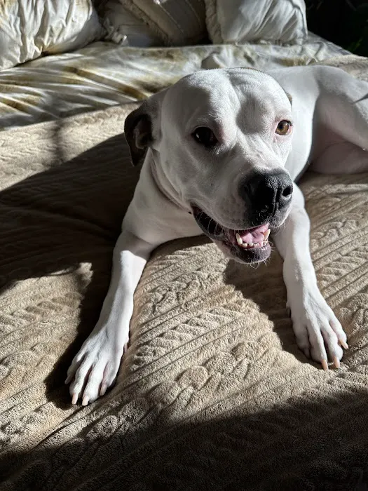 Ehlers Animal Care Picture 5