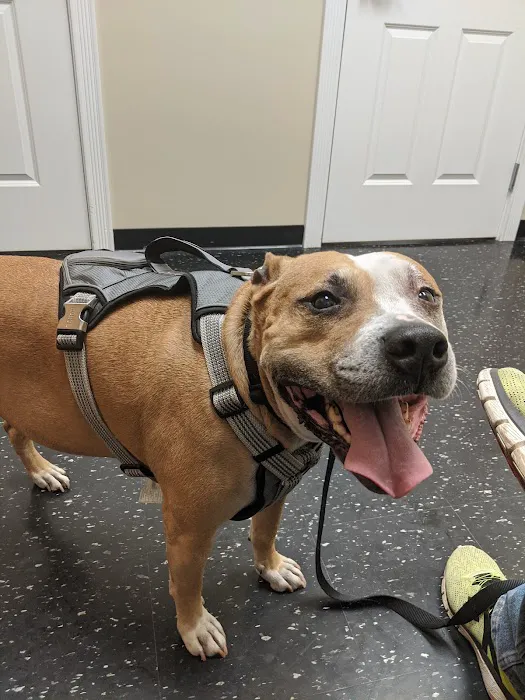 Ehlers Animal Care Picture 6