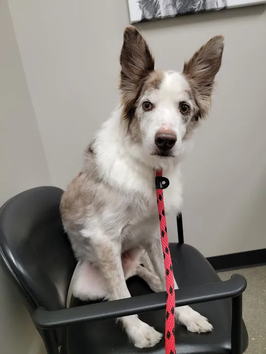 Ehlers Animal Care Picture 8