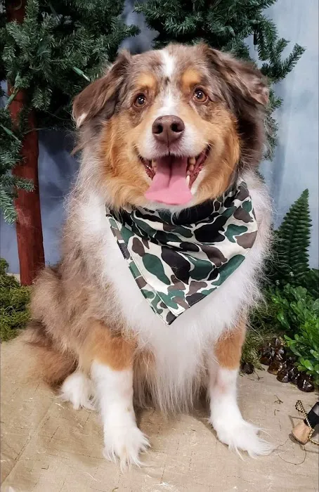 Ehlers Animal Care Picture 9