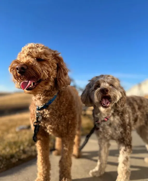 Ehlers Animal Care Picture 7