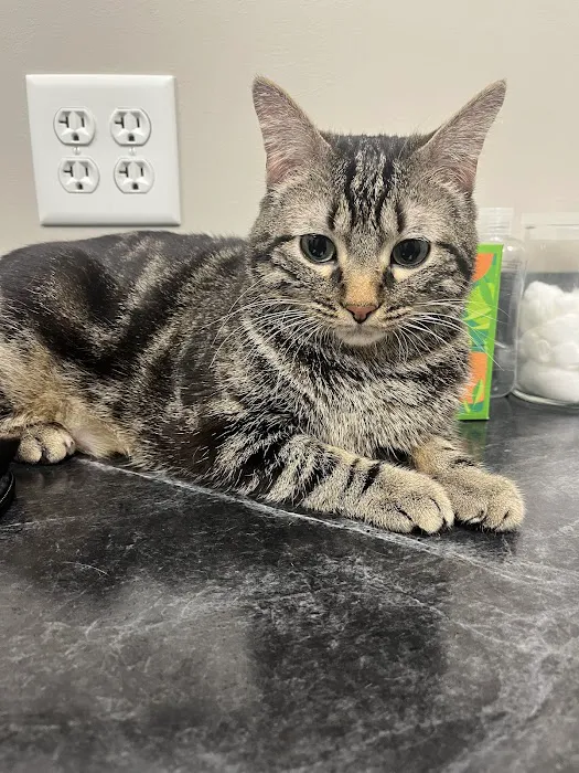 Ehlers Animal Care Picture 10