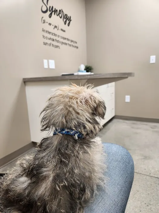 Synergy Animal Care Picture 3