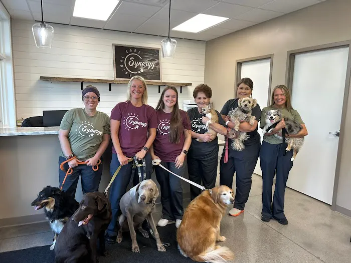 Synergy Animal Care Picture 8