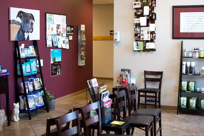 South Ridge Animal Clinic Picture 1