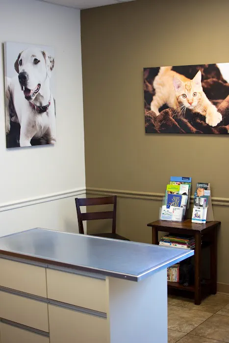 South Ridge Animal Clinic Picture 7