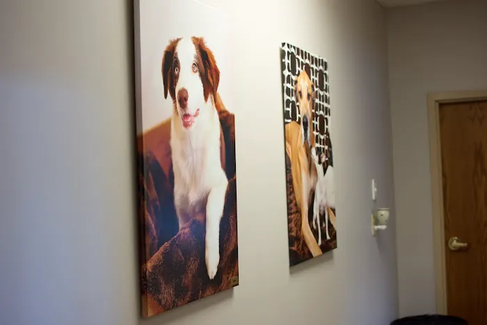 South Ridge Animal Clinic Picture 4