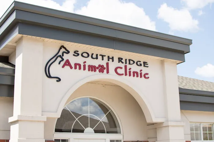 South Ridge Animal Clinic Picture 9