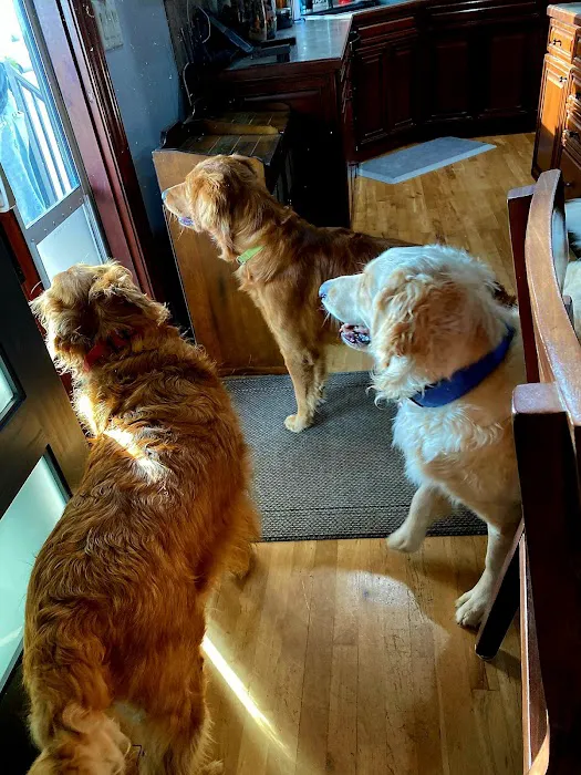 Yankee Hill Veterinary Hospital Picture 1