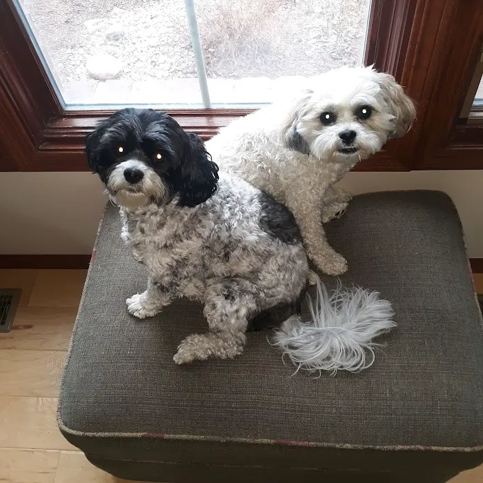 Yankee Hill Veterinary Hospital Picture 4