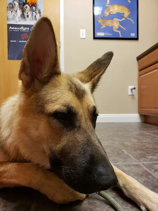 Yankee Hill Veterinary Hospital Picture 8