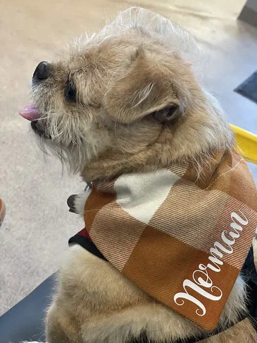 Pitts Veterinary Hospital Picture 3