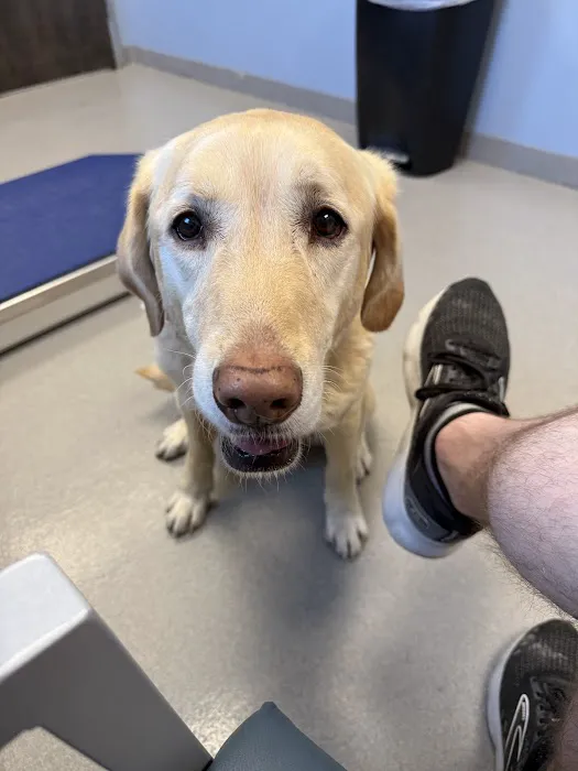 Pitts Veterinary Hospital Picture 1