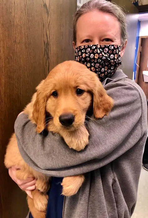 Pitts Veterinary Hospital Picture 5