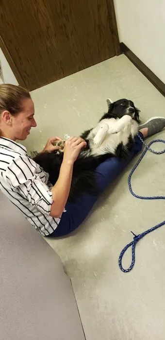 Pitts Veterinary Hospital Picture 6